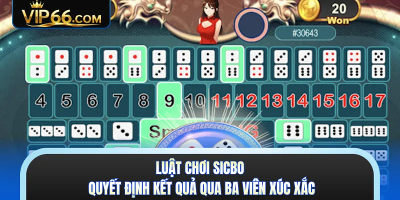 Luật chơi sicbo quyết định kết quả qua ba viên xúc xắc 